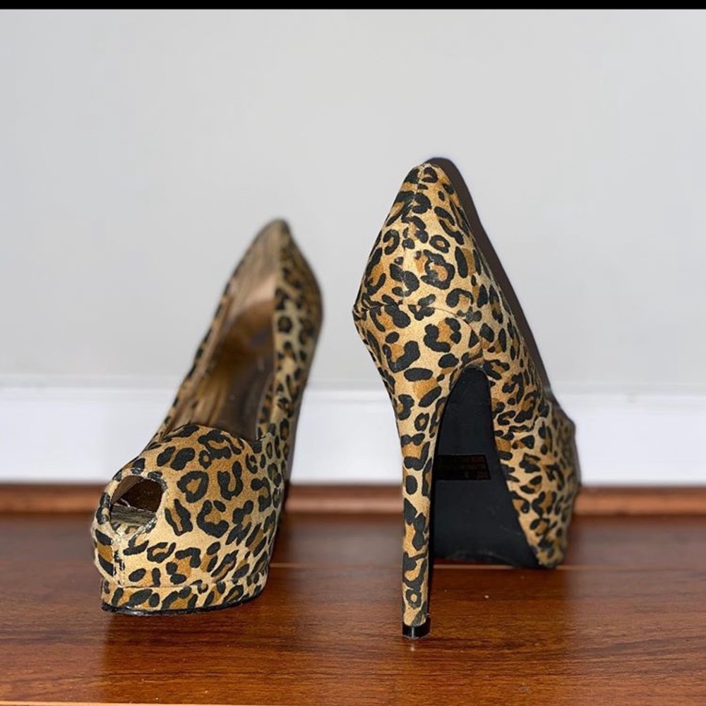 Cheetah pumps